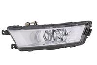 Mistl Skoda Rapid (NH3) li 12-17 chroom H8 1NG354844071