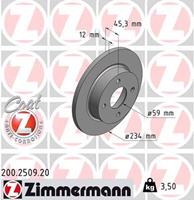 nissan Remschijf Coat Z 200250920