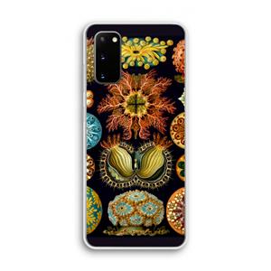 CaseCompany Haeckel Ascidiae: Samsung Galaxy S20 Transparant Hoesje