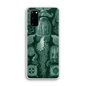 CaseCompany Haeckel Cubomedusae: Samsung Galaxy S20 Transparant Hoesje