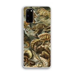 CaseCompany Haeckel Lacertilia: Samsung Galaxy S20 Transparant Hoesje