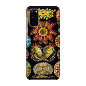 CaseCompany Haeckel Ascidiae: Volledig geprint Samsung Galaxy S20 Hoesje