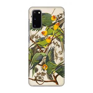 CaseCompany Carolinaparkiet: Volledig geprint Samsung Galaxy S20 Hoesje