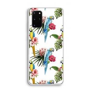 CaseCompany Kleurrijke papegaaien: Samsung Galaxy S20 Plus Transparant Hoesje