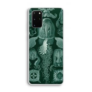 CaseCompany Haeckel Cubomedusae: Samsung Galaxy S20 Plus Transparant Hoesje