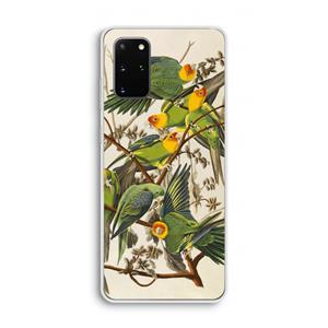 CaseCompany Carolinaparkiet: Samsung Galaxy S20 Plus Transparant Hoesje