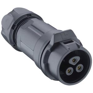 Lutronic 2440 02 T09CB A Ronde connector Bus, recht 1 stuk(s)