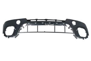 bmw Bumper 5510000096905P