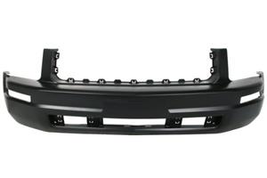 fordusa Bumper 5510002585900P