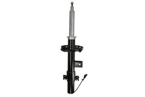 Stoßdämpfer Hinterachse links magnum APL021MT