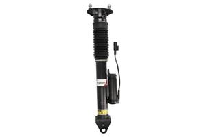 Stoßdämpfer Hinterachse magnum APM006MT