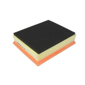 Filtron Luchtfilter  AP098/2