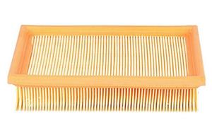 Alpina Luchtfilter