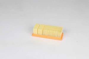 Nissan Luchtfilter