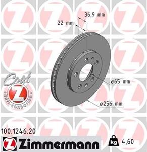 audi Remschijf Coat Z
