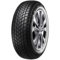 'GT Radial' 'GT Radial WinterPro2 (205/55 R16 91H)'
