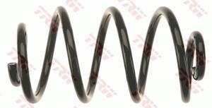 Fahrwerksfeder Hinterachse TRW JCS1255