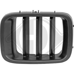 Suzuki Radiateurgrille