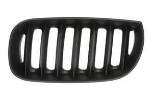 Bmw Radiateurgrille