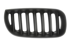 Bmw Radiateurgrille