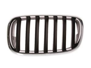 Bmw Radiateurgrille
