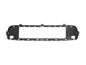 Bmw Ventilatiegrille, bumper