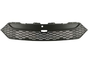 Iveco Radiateurgrille