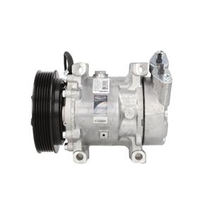 Delphi Airconditioning compressor  TSP0159172