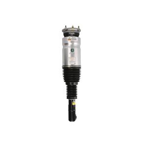 Arnott Europe Luchtvering veerpoot  AS-3070
