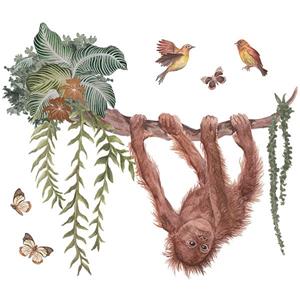 Utan muurstickers Young Orangutan on his liana