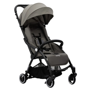 Hamilton door yoop Buggy X1 Plus in grijs