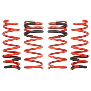 Eibach Ophangset, veren Pro-Kit  E10-24-010-01-22