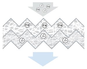Genesis Interieurfilter