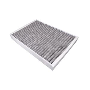 Polestar Interieurfilter
