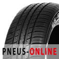 Double Coin DS66 HP XL