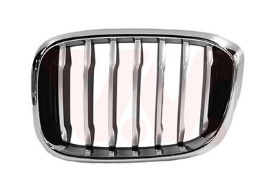 Bmw Grille L. Sierrooster