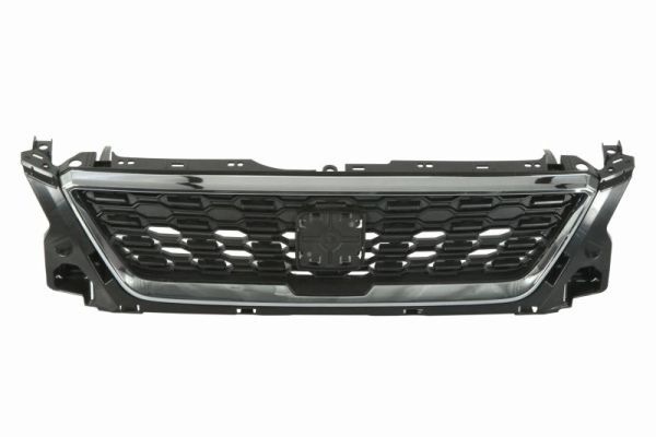 Seat Radiateurgrille
