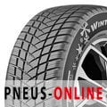 GT Radial Champiro Winterpro 2 EVO