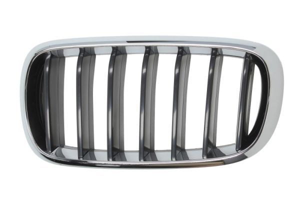 Bmw Radiateurgrille