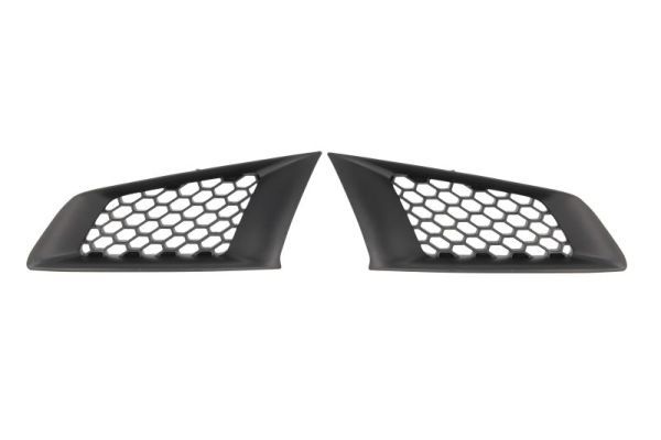 Renault Radiateurgrille