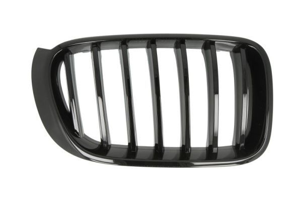 Bmw Radiateurgrille