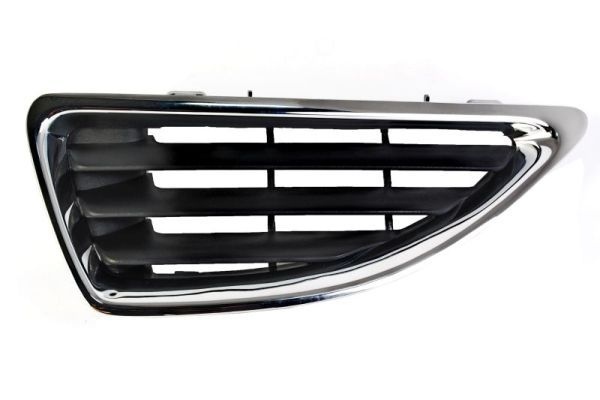 Renault Radiateurgrille