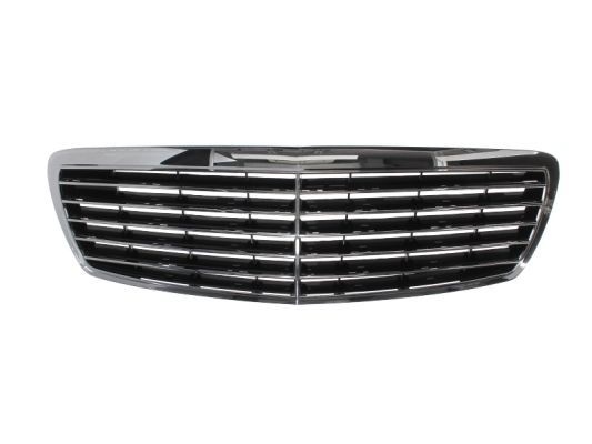 Mercedes-Benz Radiateurgrille