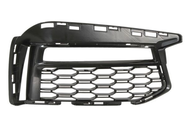 Bmw Ventilatiegrille, bumper