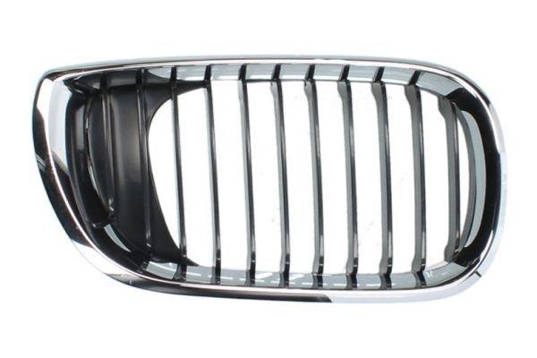Bmw Radiateurgrille