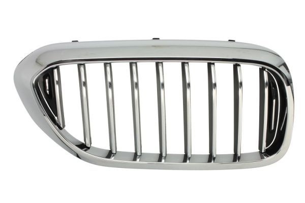 Bmw Radiateurgrille
