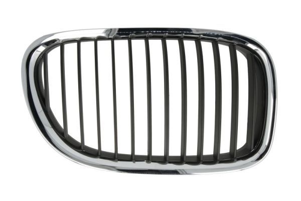 Bmw Radiateurgrille