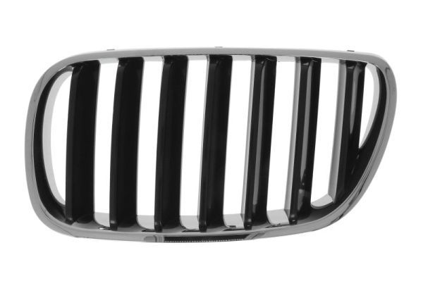 Bmw Radiateurgrille