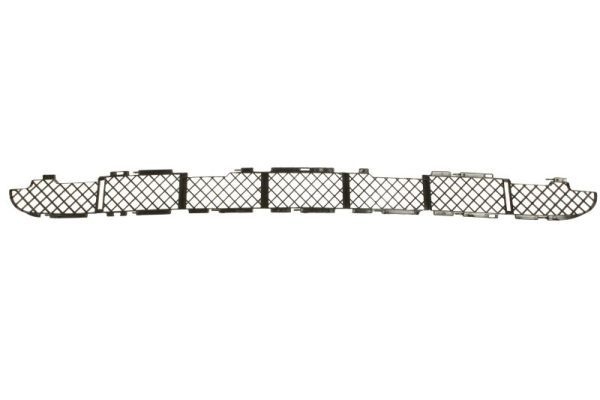 Bmw Ventilatiegrille, bumper