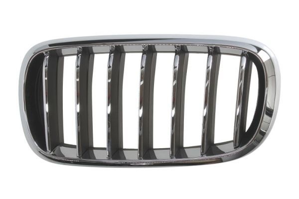 Bmw Radiateurgrille